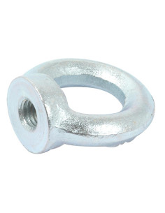 Ojo Nut, Tamaño: M10 x Ø25mm (Din 582) Metric Coarse 2