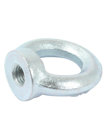 Ojo Nut, Tamaño: M10 x Ø25mm (Din 582) Metric...