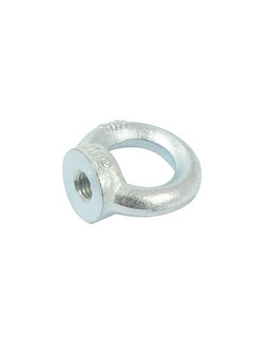 Ojo Nut, Tamaño: M12 x Ø30mm (Din 582) Metric Coarse