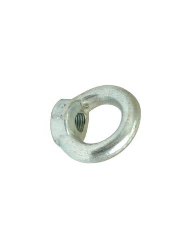 Ojo Nut, Tamaño: M8 x Ø20mm (Din 582) Metric Coarse