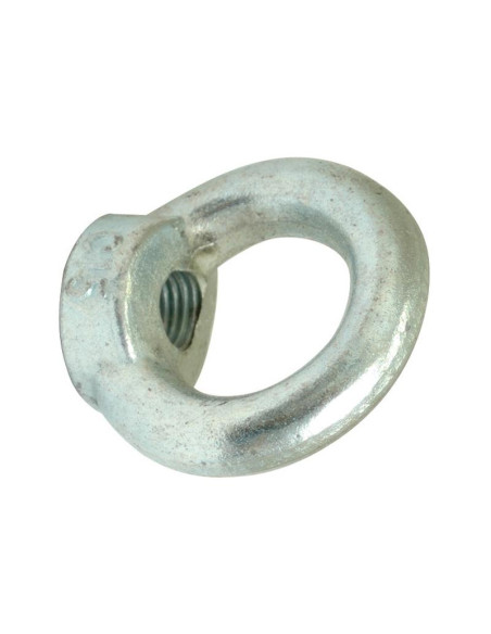 Ojo Nut, Tamaño: M8 x Ø20mm (Din 582) Metric Coarse