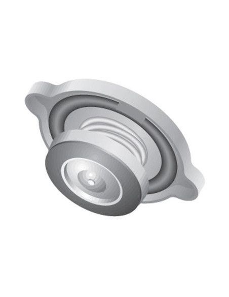 Tapón Radiador