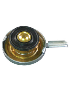 Tapón Radiador 2
