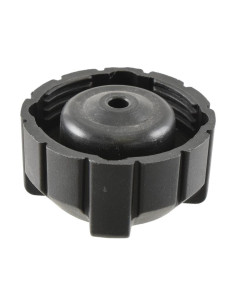 Tapón Radiador 2