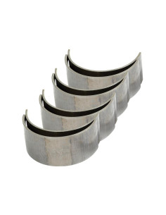 Cojinete de biela Std. Set