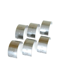 Cojinete principal +0.020'' (0.50mm) (Set)