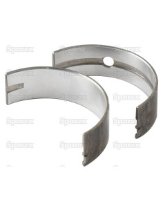 Cojinete principal Std. (Par)