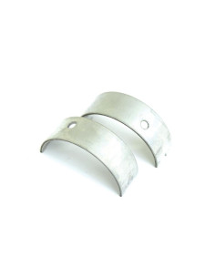 Cojinete principal Std. (Par)