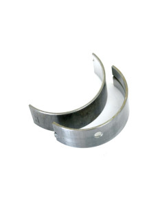 Cojinete principal Std. (Par)