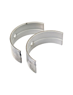 Cojinete principal Std. (Par)