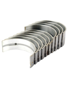 Cojinete principal Std. (Set)