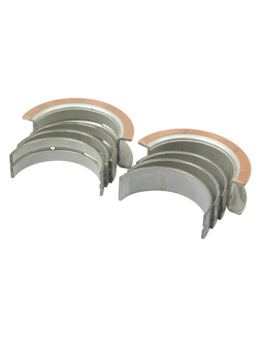 Cojinete principal Std. (Set)