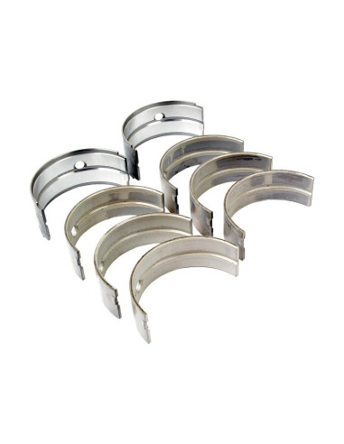 Cojinete principal Std. (Set)