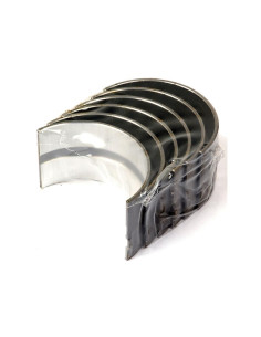 Cojinete principal Std. (Set)