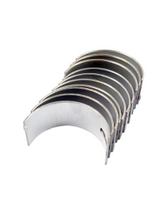 Cojinete principal Std. (Set)