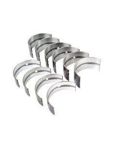 Cojinete principal Std. (Set)