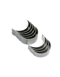 Cojinete principal Std. (Set)