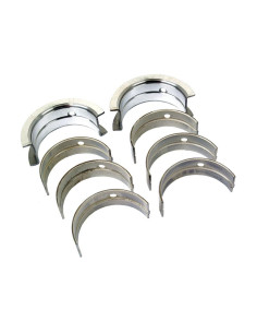 Cojinete principal Std. (Set)