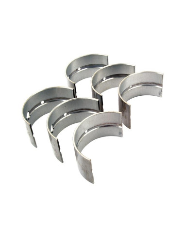 Cojinete principal Std. (Set)