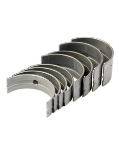 Cojinete principal Std. (Set)