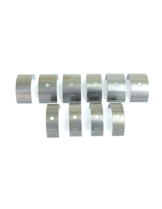 Cojinete principal Std. (Set)