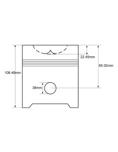 Conjunto de pistón y arandela 2