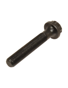 Conjunto Tornillo Y Tuerca