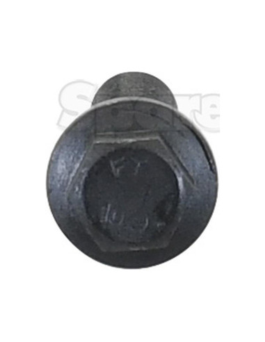 Conjunto Tornillo Y Tuerca