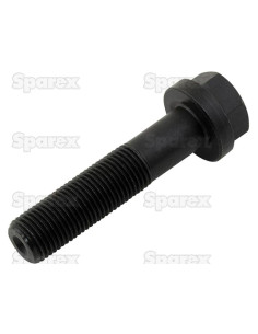 Conjunto Tornillo Y Tuerca