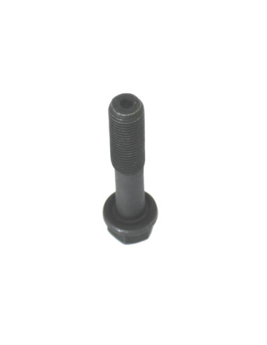 Conjunto Tornillo Y Tuerca