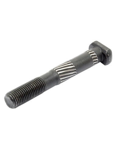 Conjunto Tornillo Y Tuerca