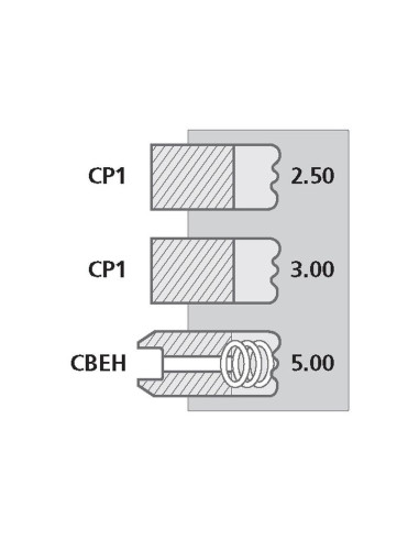 Juego Anillo Pistón