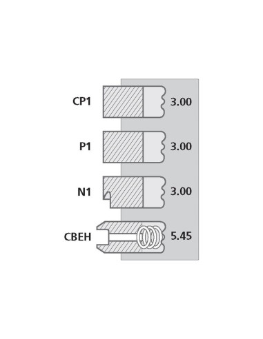 Juego Anillo Pistón