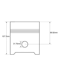 Pistón (Standard) 2