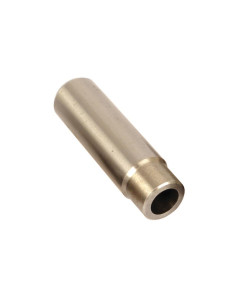 Guía Válvula Admisión