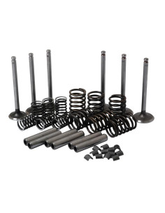 Juego de tren de válvula