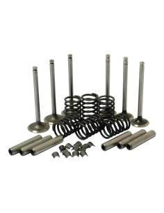 Juego de tren de válvula