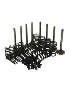 Juego de tren de válvula