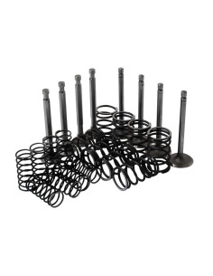 Juego de tren de válvula