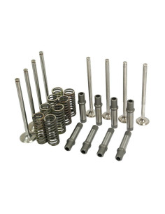 Juego de tren de válvula