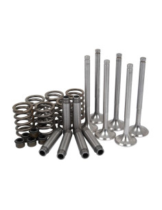 Juego de tren de válvula