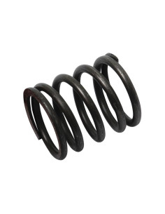 Muelle Exterior Válvula