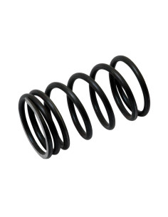 Muelle Exterior Válvula