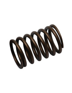 Muelle Exterior Válvula