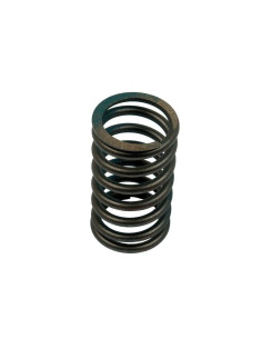 Muelle Exterior Válvula