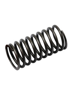 Muelle Exterior Válvula