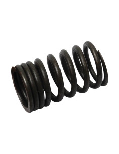 Muelle Exterior Válvula