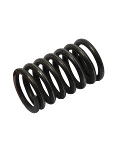 Muelle Exterior Válvula