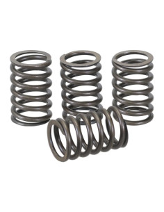 Muelle Exterior Válvula