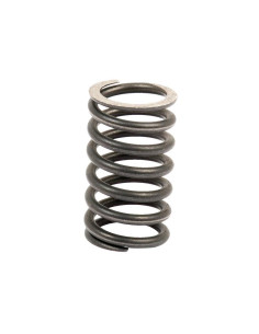 Muelle Exterior Válvula